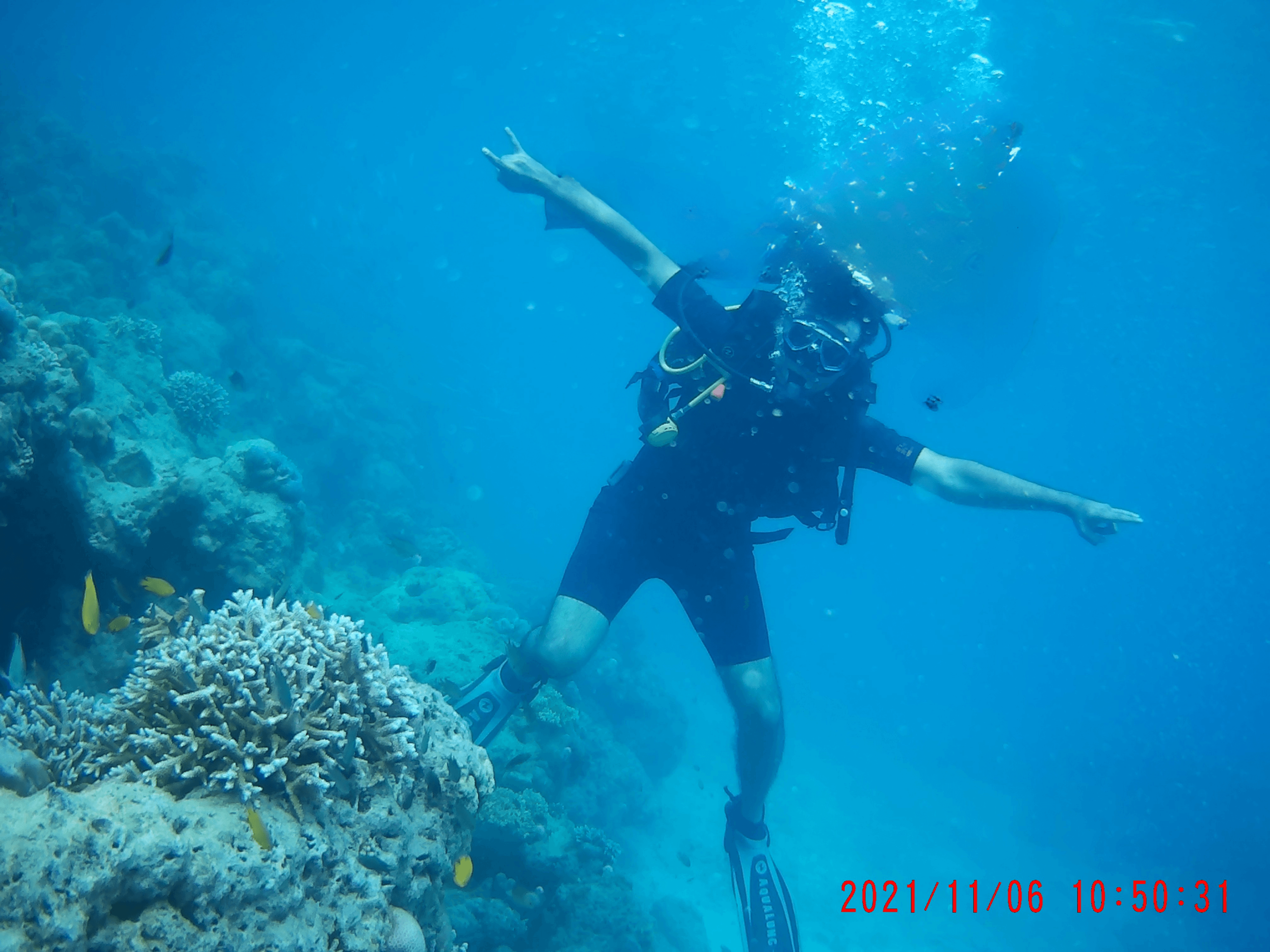 Picture of Anish Skuba Diving, Andaman Nikobar Islands