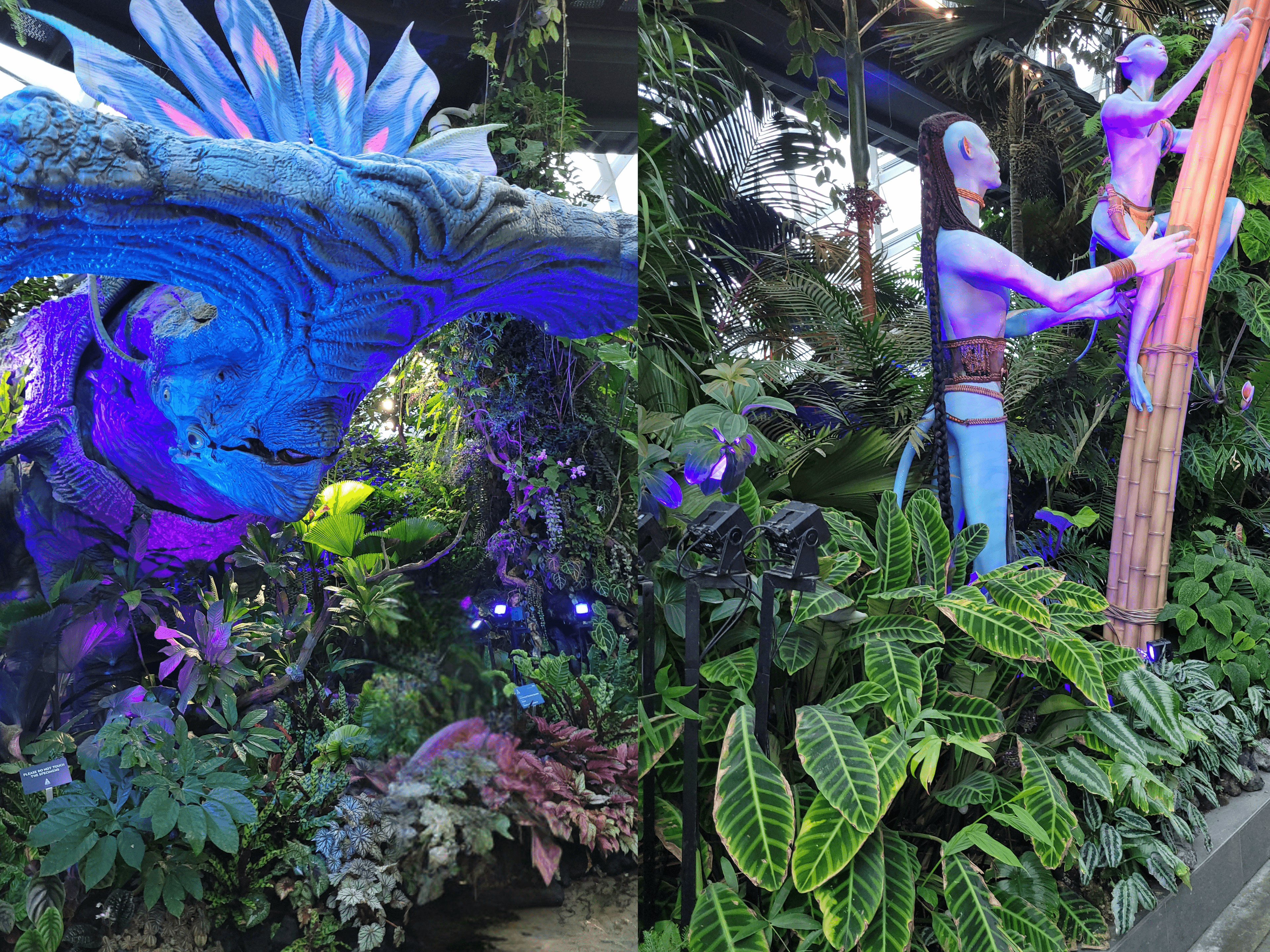 Avatar Experience at Gardens by the Bay, Singapore